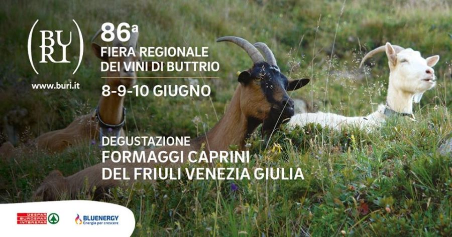 Fiera regionale dei vini di Buttrio 8-9-10 Giugno 2018