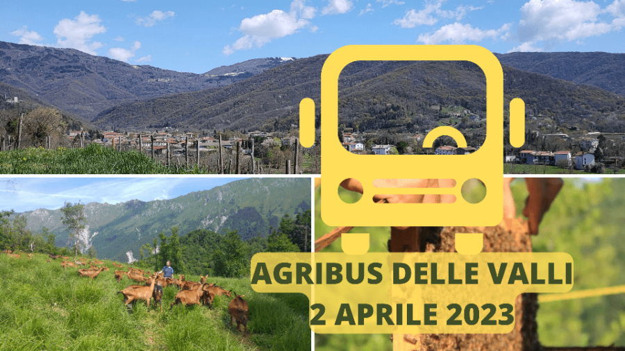 AGRIBUS DELLE VALLI DI PRIMAVERA, TRA CAPRETTE, FORMAGGI E MIELE